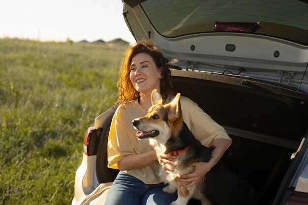 Reviewing Safety Features for Pets During Rides