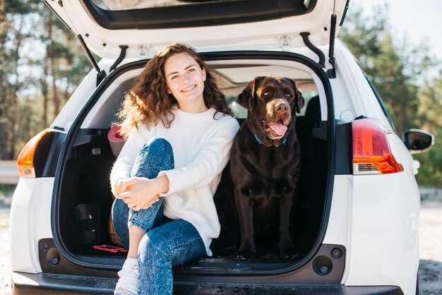 How pet-friendly are Toyota SUVs?